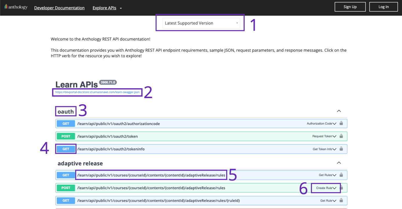 Developer browse APIs endpoints